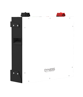 Dyness - DL5.0C 5.12KWH 51.2V 100Ah VERSION 2.0 (7 Year Warranty) Lithium Battery